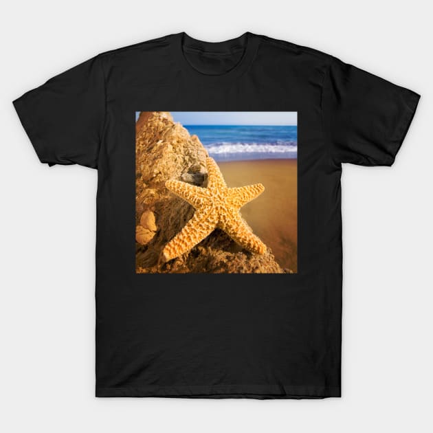 Starfish on Stone T-Shirt by StylishPrinting